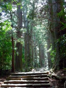 L'escalier monummental Daimon zaka