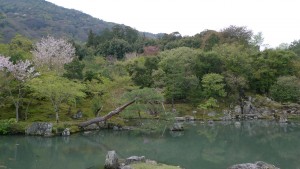 Jardin Tenryu-ji (XIVe siècle). Arashiyama.